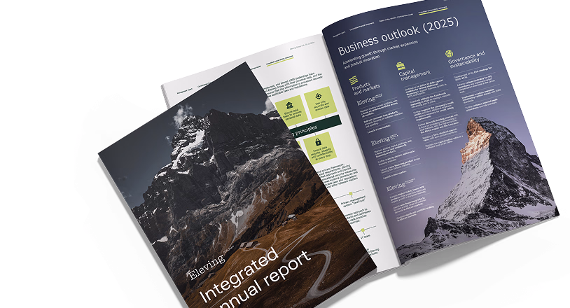 Integrated annual report 2024