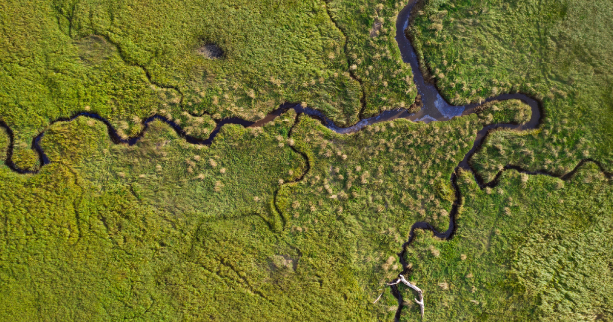 Notification on the increase of the share capital of Eleving Group