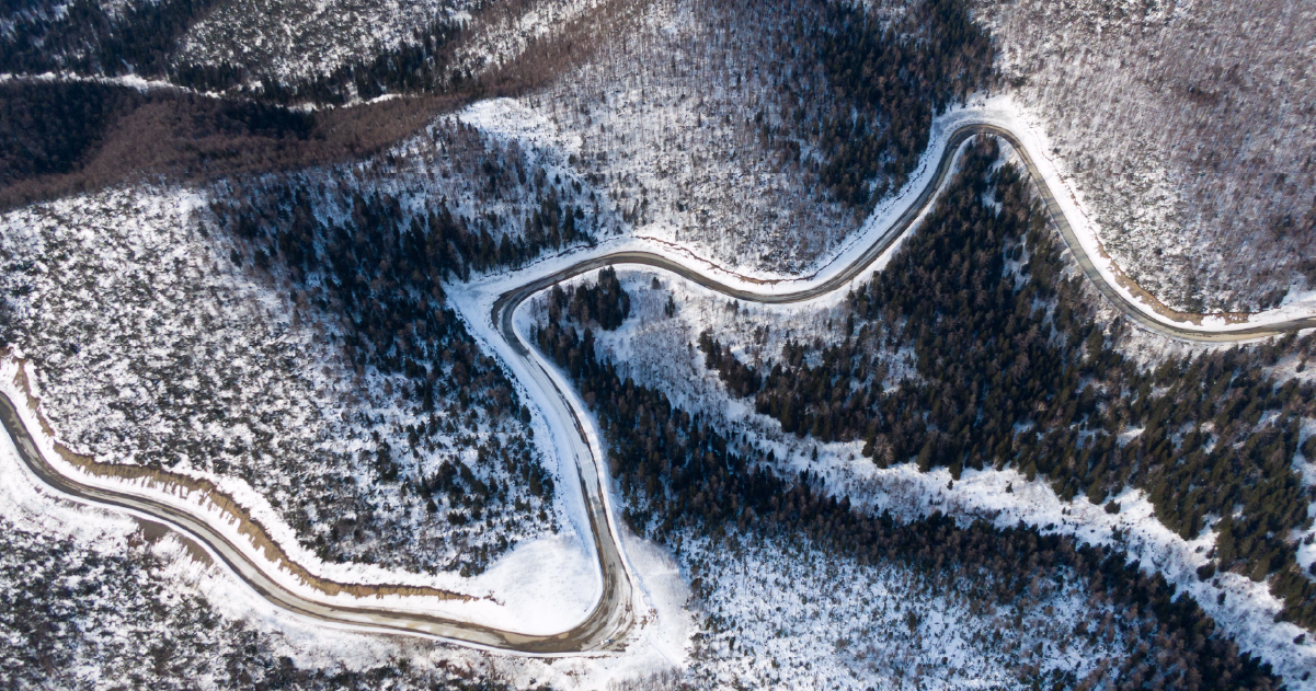 Eleving Group teams up with tech startup Chaseit to introduce AI voice agents at call centers 